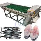 1500W SUS304 Fish Cutting Equipment , Anti Corrosion Tuna Cutting Machine