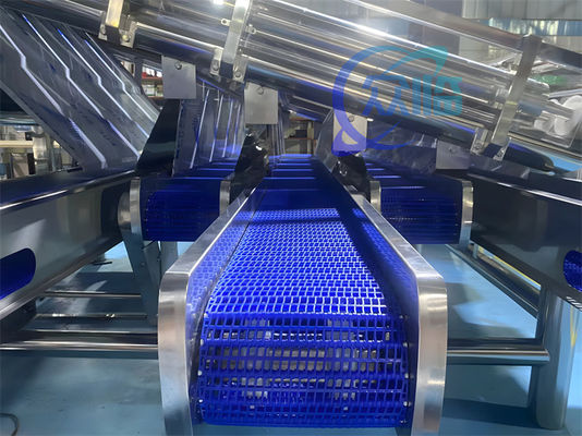 Stainless Steel Shrimp Sorting Equipment Stable Anti Erosion