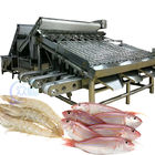 4.9KW Practical Fish Grading Machine , Automatic Fish Sorting Equipment