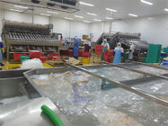ISO Industrial Automatic Fish Processing , Multifunctional Seafood Processing Plant
