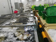 SUS304 Stable Fish Processing Machine Waterproof for Prawn Cleaning