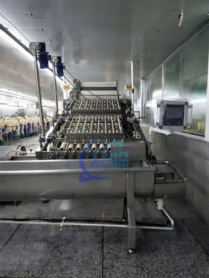 Touch Screen Shrimp Peeling Machine Multiscene 3000W 250-300KG/H