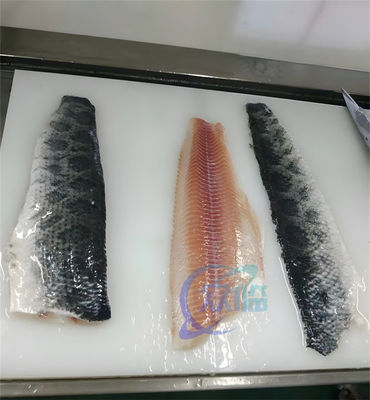 50Hz 3P Fish Skin Cleaning Machine Anti Corrosion 300-400KG/H