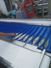 ISO Automatic Fish Cutting Machine Multiscene 1550x800x1450mm