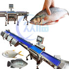 Commercial Fish Sizing Machine Single Weighing Range 1g-3g Pangasius Grading