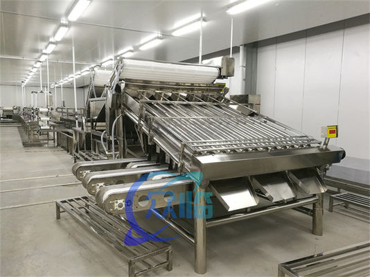 Waterproof Fish Roller Sorting Machine Mackerel Grading Machine Large Capacity