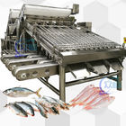 Big Output Whole Fish Grader With 18 Rollers Whole Fish Sorting Machine And Fish Sizing
