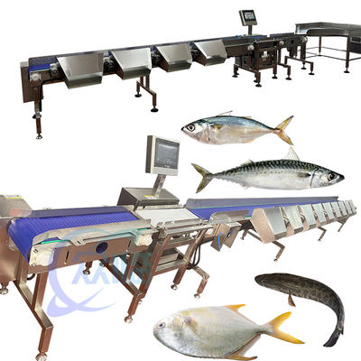 Good Price Tilapia Grader Tilapia Sorter Tilapia Sizter Tilapia Classify From China