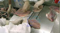 Sardine Tilapia Squid Skin Peeling Machine Hot Sell Fish Skinner Remove Machine Fish Skin Peeling Separating Removing Ma