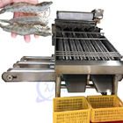 Seafood process equipment shrimp washing grading machine Automatic shrimp sorting machine for shrimp peeling