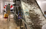 Farmed shrimp harvest rapid sorting and size specification machine Shrimp sorting machine