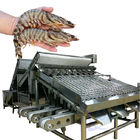 Seafood Shrimp Processing Classifier Automatic Fast Fish Shrimp Size Classifier Shrimp Production Line Screening Machine