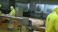 Sushi Shrimp Processing Shrimp Production Line Seafood fish and shrimp processing machinery