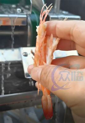 60-80pcs/Min Cooked Shrimp Sushi Cutting Machine Sushi Shrimp Belly Cutter