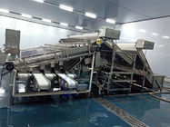 304 stainless steel 18 roller fish sorting machine Fish size screening machine