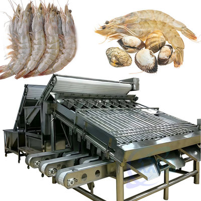 Shrimp size sorting machine Fish scale cleaning and processing line production line sorting machine