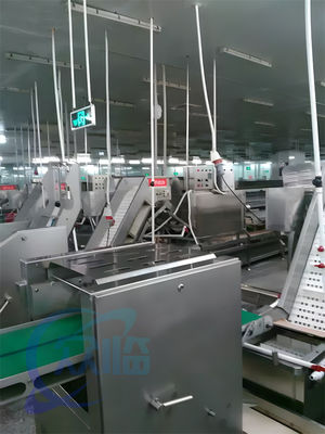 70Pcs/M Fish Processing Machine Stainless Steel Cuttlefish Peeling Machine High Stable