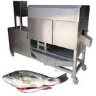 Fully automatic fish processing production line Grass carp, carp, mandarin fish, perch and other fish viscera cleaning m