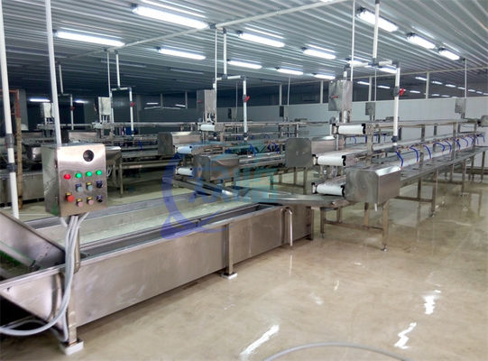 2.22KW SS Washing Machine For Fruit And Vegetable Processing Production Line Lettuce Cabbage Air Spray Washing Machine