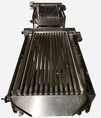Four Models Automatic Fish Grading Machine And Sizing Small Fish With High Stable