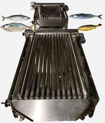 Four Models Automatic Fish Grader And Soring Ocean Fish, Sizing Mackerel High Qutality