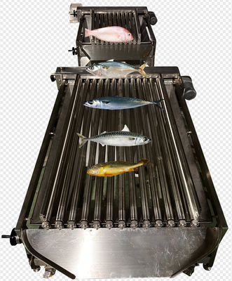 Four Styles Automatic Fish Sorting Machine And Grading Sardine Line With High Speed