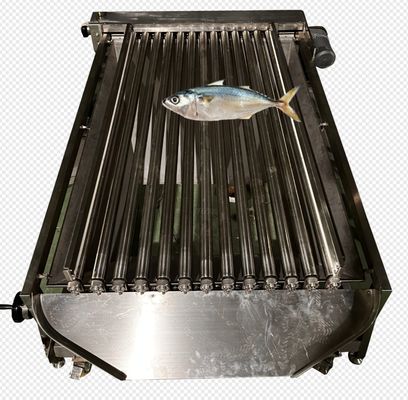 Four Models Automatic Fish Grader And Soring Ocean Fish, Sizing Mackerel High Qutality