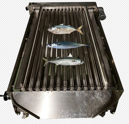 Automatic Ocean Fish Sorting Equipment For Large Capacity Fish Sizing Machine