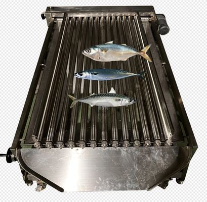 Most Styles Automatic Fish Grading Machine And Sizing Fish With High Stable