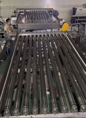 Four Styles Automatic Fish Sorting Machine And Grading Sardine Line With High Speed