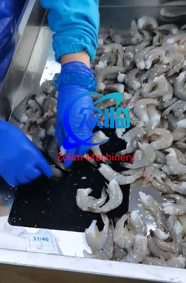 0.35KW Automatic Shrimp Cutter Multi Function Prawn Cutter And Remove Vein