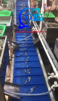 0.35KW Automatic Shrimp Cutter Multi Function Prawn Cutter And Remove Vein
