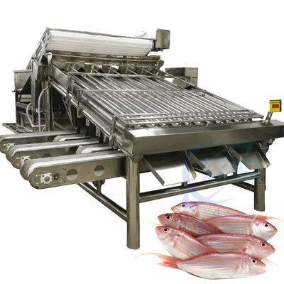Good price High Capacity Fish Grading Machine Fish Roller Grader 4.9KW 2 T/H Sea Fish Grader Fish Sorting Line Zolim Fish Sizing Equipment online