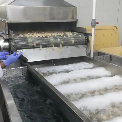 Good price Durable 380V Seafood Cooling Machine Prawn Processing Machine Fish Processing Machine Shrimp Cooling Machine online