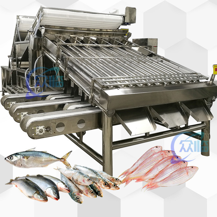 Big Output Whole Fish Grader With 18 Rollers Whole Fish Sorting Machine ...