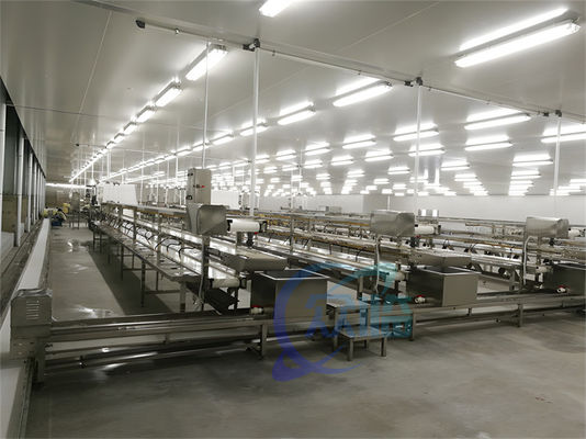 3KW Stable Shrimp Processing Machine 10000x1150x1550mm Practical