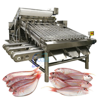 Industrial SUS304 Fish Grading Machine , Multiscene Seafood Sorting Machine