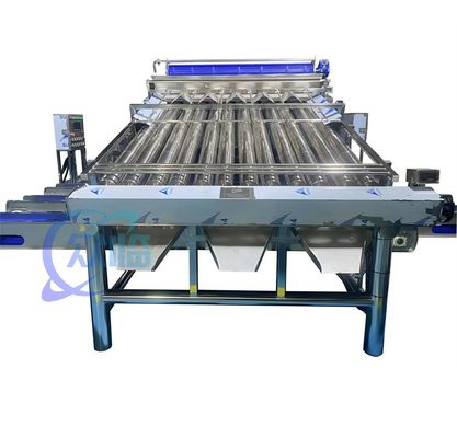 4900W SUS304 Prawn Grading Machine , Durable Shrimp Washing Sorting Machine