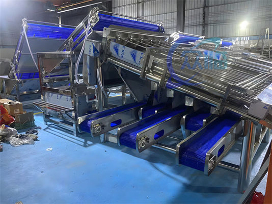 3P Durable Prawn Grading Machine , Anti Erosion Shrimp Sorting Equipment