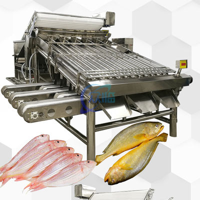 Automatic Fish Grading Machine 4900W Multipurpose Anti Erode