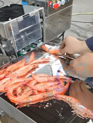 Stable Industrial Prawn Cut Machine , Multipurpose Shrimp Processing Line