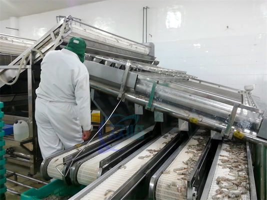 ISO 1500KG Seafood Sorting Machine , Multifunctional Fish Size Sorter