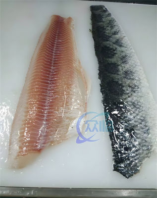 50Hz 3P Fish Skin Cleaning Machine Anti Corrosion 300-400KG/H