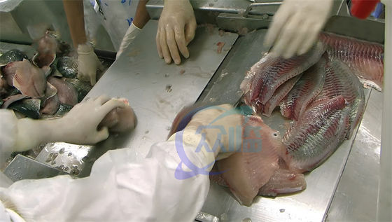 Practical Multiscene Fish Skin Peeler , Industrial Tilapia Skin Removing Machine