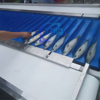 Stainless Steel Fish Cutting Machine 1.5KW 380V Anti Corrosion