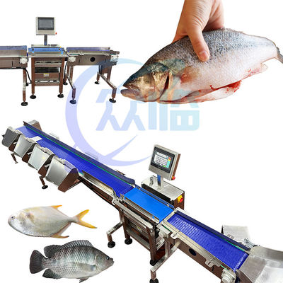 Commercial Fish Sizing Machine Single Weighing Range 1g-3g Pangasius Grading