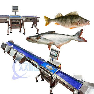 62m/min Speciality Fish Weight Grader Live Fish Weight Sorting Machine Computer Control