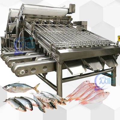 Big Output Whole Fish Grader With 18 Rollers Whole Fish Sorting Machine And Fish Sizing
