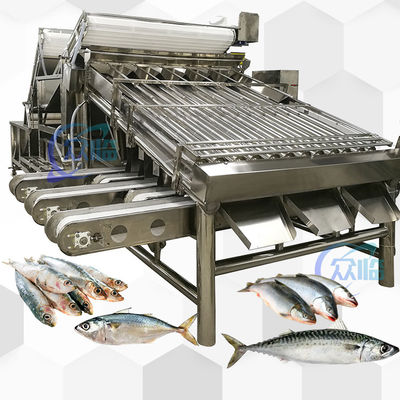 SUS 304 Fish Grading Machine Automatic Fish Sizing Machine Durable Industry Fish Soring