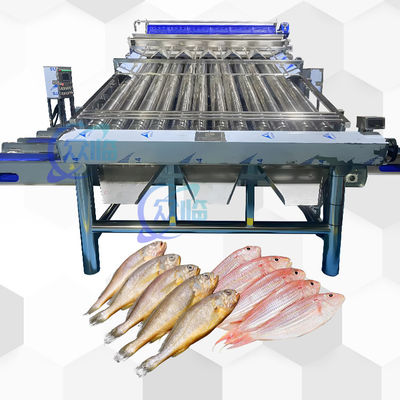 Automatic Fish Classify Machine With 12 Roller Automatic Fish Classifier For 4-5 Sizes